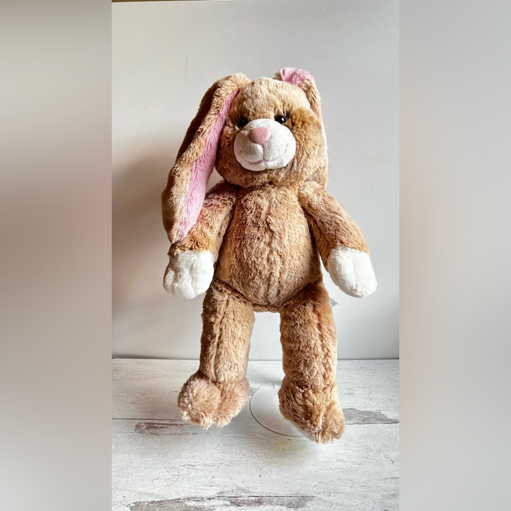 BUILD-A-BEAR Bunny With Pink Ears